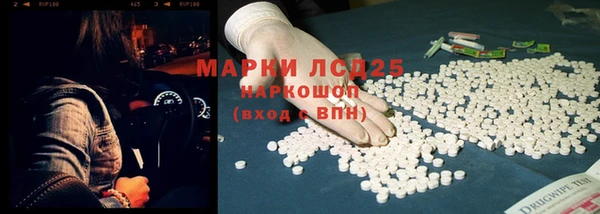 СК Волоколамск