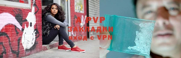 СК Волоколамск