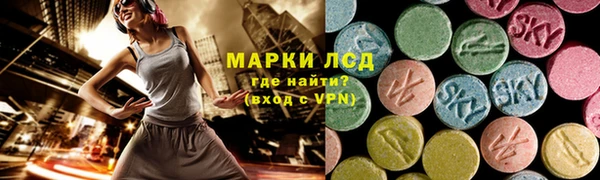 СК Волоколамск